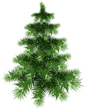 Fluffy green Christmas tree