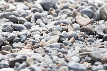 stones in nature as background