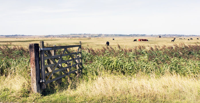 Kent Countryside Uk Farm Land