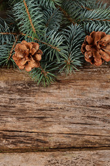 The christmas tree on wooden background