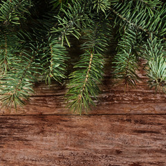 The christmas tree on wooden background