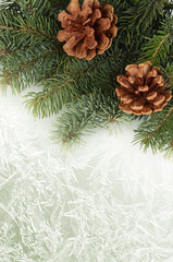 The christmas tree on green background