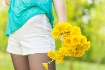 beautiful girl keeps yellow dandelions in the hands