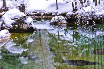 Winter reflections in a cold mountain stream, Slovenian Alps