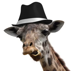 Crédence de cuisine en verre imprimé Girafe Girafe idiote portant un fedora et faisant un visage inhabituel