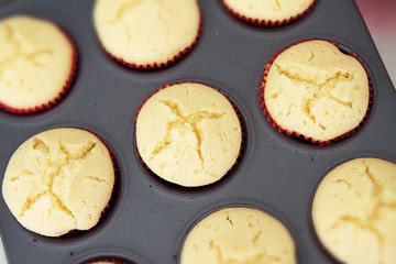 Overhead view of vanilla cupcakes cooling in a tray