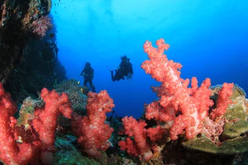Crédence de cuisine en verre imprimé Plonger Plongée sous-marine sur la barrière de corail