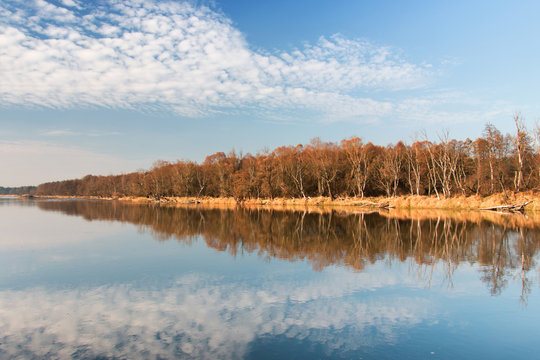 Fototapeta Mirror image of the river Bug on Podlasie