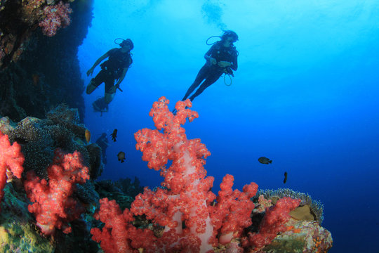 Scuba diving on coral reef