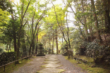Fototapeta premium 嵐山 高雄 高山寺