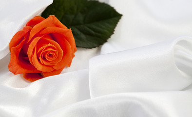 Obraz na płótnie Canvas rose fleur orange sur satin