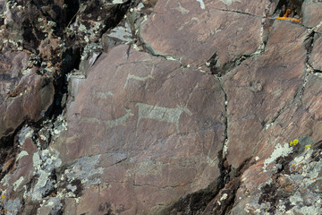 Rock paintings