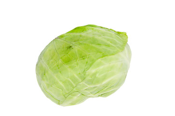 Fototapeta premium cabbage