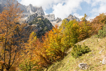 Beautiful Autumn in the Bavarian Alps, Germany