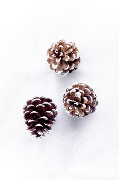 christmas pine cones with white border