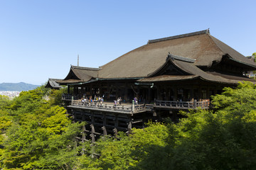 Fototapeta premium 新緑の清水寺