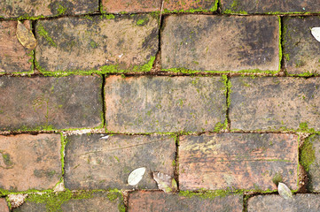 old red brick wall grown with grass and moss