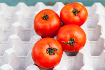 fresh ripe red tomatoes in the box
