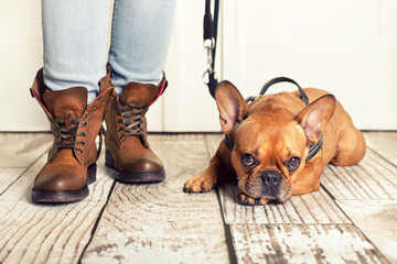 wir gehen gleich spazieren