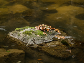 Bach mit fließendem Wasser