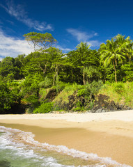 Sunshine Coast Divine Shoreline