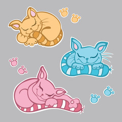 Cute kittens sleeping