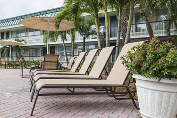 Four sun loungers by the poolwith palms.  Florida
