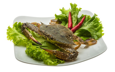 Raw crab