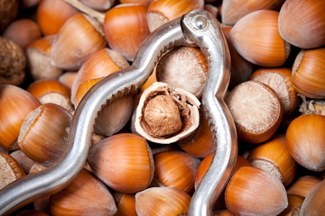 geknackte Haselnuss in Schale mit Retro Nussknacker