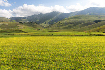 Piano Grande di Castelluccio (Italy)