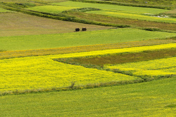 Fototapeta premium Piano Grande di Castelluccio (Italy)