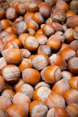 getrocknete Haselnüsse