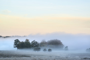 Beautiful thick fog sunrise Autumn Fall countryside landscape wi - obrazy, fototapety, plakaty