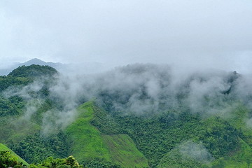 fog and cloud mountain valley landscape,Thailand