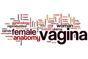 Fototapeta premium Vagina word cloud