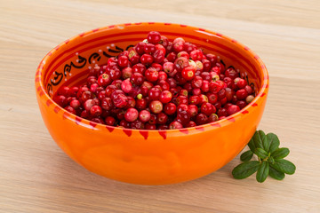 Cowberry