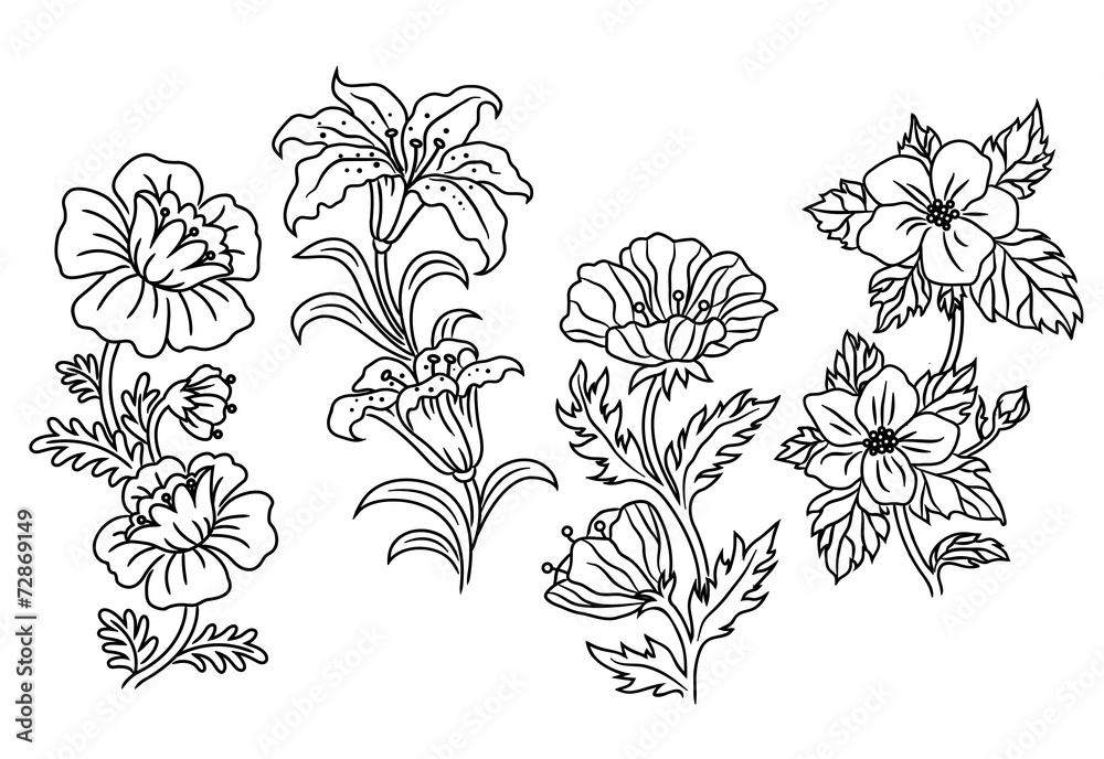 Wall mural black and white outline summer flowers