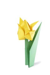 Origami tulip isolated over white backgr&icirc;und