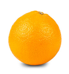one orange closeup