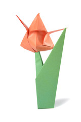 Origami tulip isolated over white backgr&icirc;und