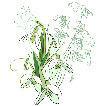 Snowdrops and spring flowers