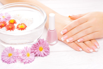 french manicure with colorful chrysanthemum