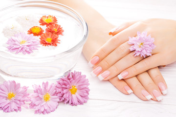 Obraz na płótnie Canvas french manicure with colorful chrysanthemum