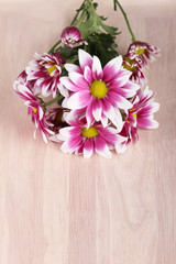 beautiful mum flowers on wooden background