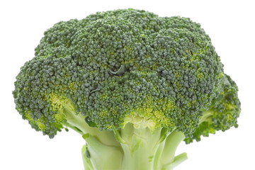 Bunch of fresh broccoli isolated on white background