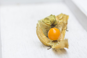 Physalis Frucht auf Weißen Holzuntergrund