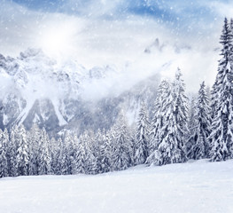 Obraz premium Winter Landscape