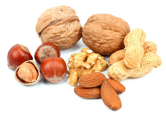 Close up of fresh walnuts and hezelnuts against white background
