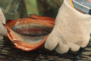 Hot smoked fish trout