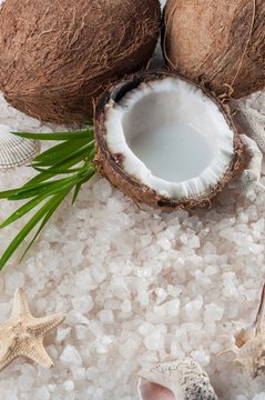 Two coconut and a slice of coconut palm trees with leaves lie on